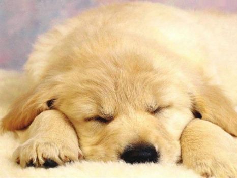 zzzzz.jpg